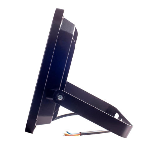 Focus lights rent in 